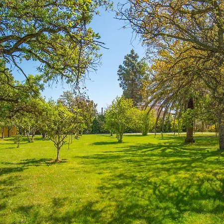 Garden Park 3*