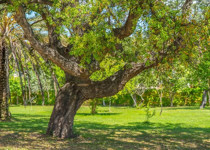 Garden Park אולביה